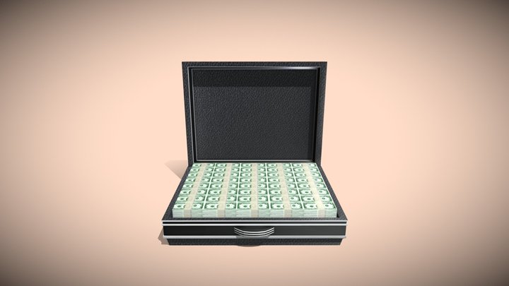 Briefcase with Money 3D Model