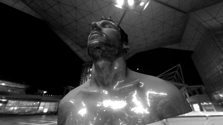 Human Sample : " Romain SEIN" (France) 3D Model