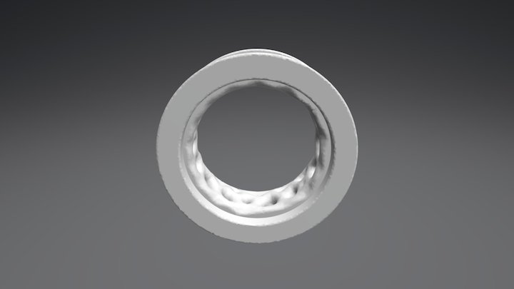 Organic Ring 3D Model