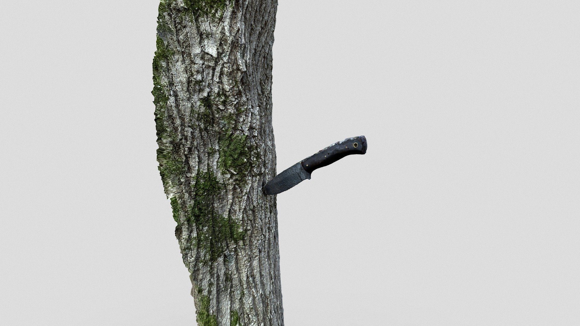 Knife in Tree Trunk Download Free 3D model by Marc Sawyer
