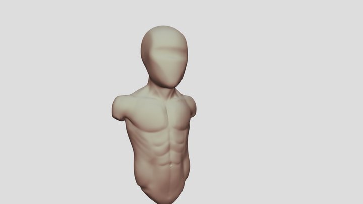 Torso Sketch 30 3D Model