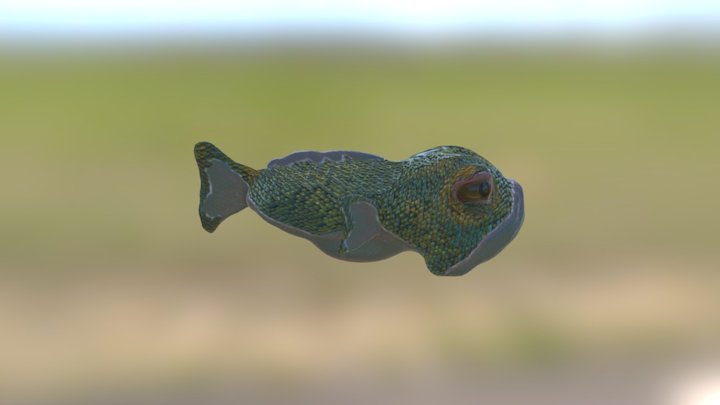 Cat Fish 3D Model
