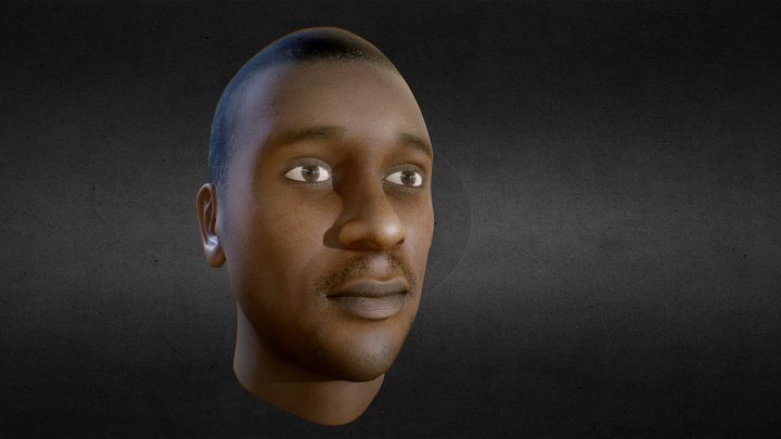 Male head base 3D Model