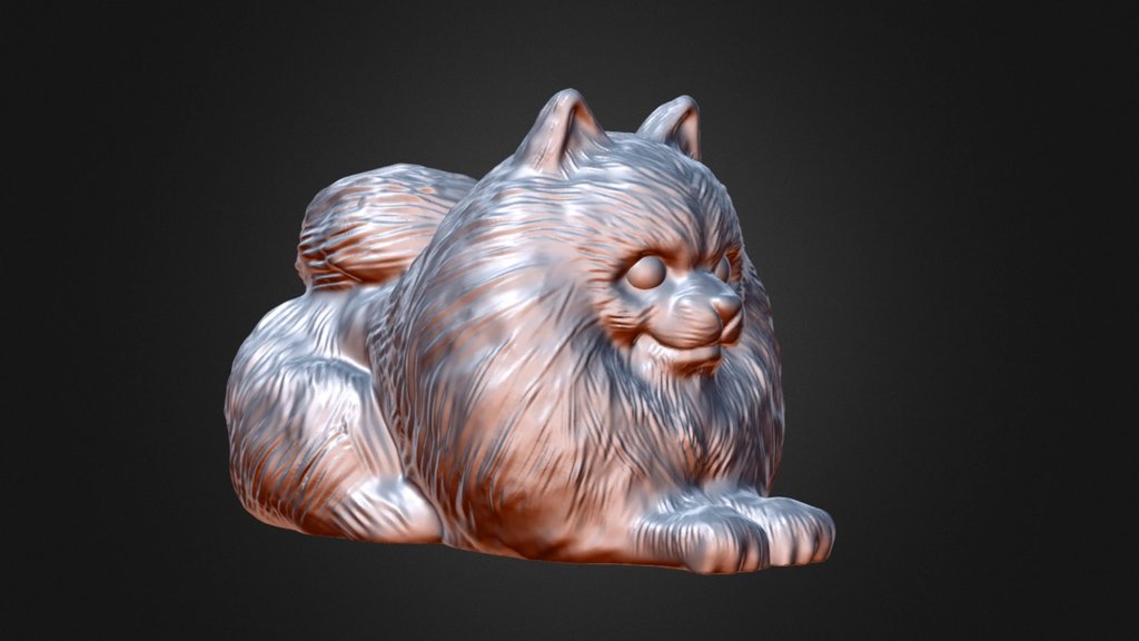 Pomeranian Details 3d Model By Diabloroth Diabloroth 3bd0f01 Sketchfab