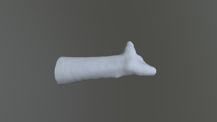 Hand To Scale 3D Model