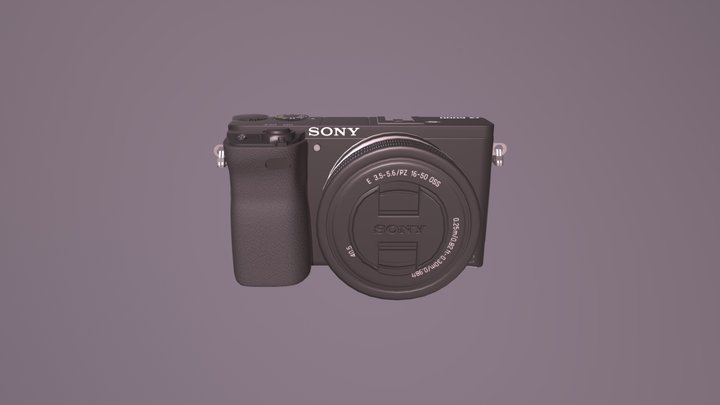Sony Alpha 6000 3D Model
