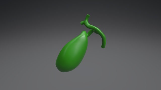 Gall Bladder and ducts 3D Model