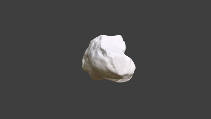 Left Trapezium 3D Model