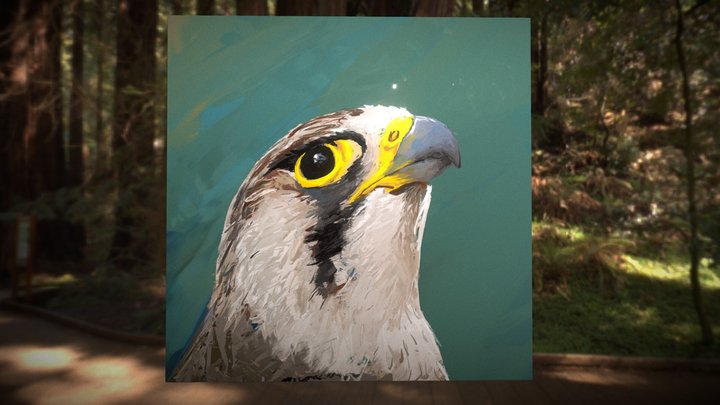 Falcon Teal 3D Model