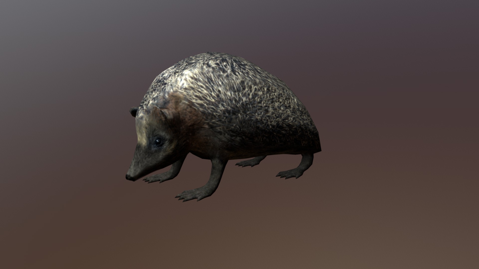 3D model Hedgehog (old) - This is a 3D model of the Hedgehog (old). The 3D model is about a small animal with a long nose.