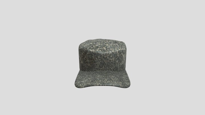 hat 3D Model