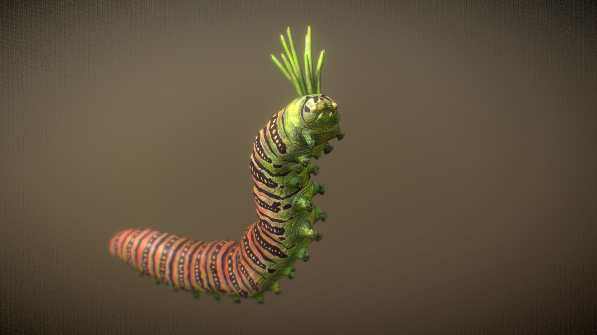 Caterpillar_021220