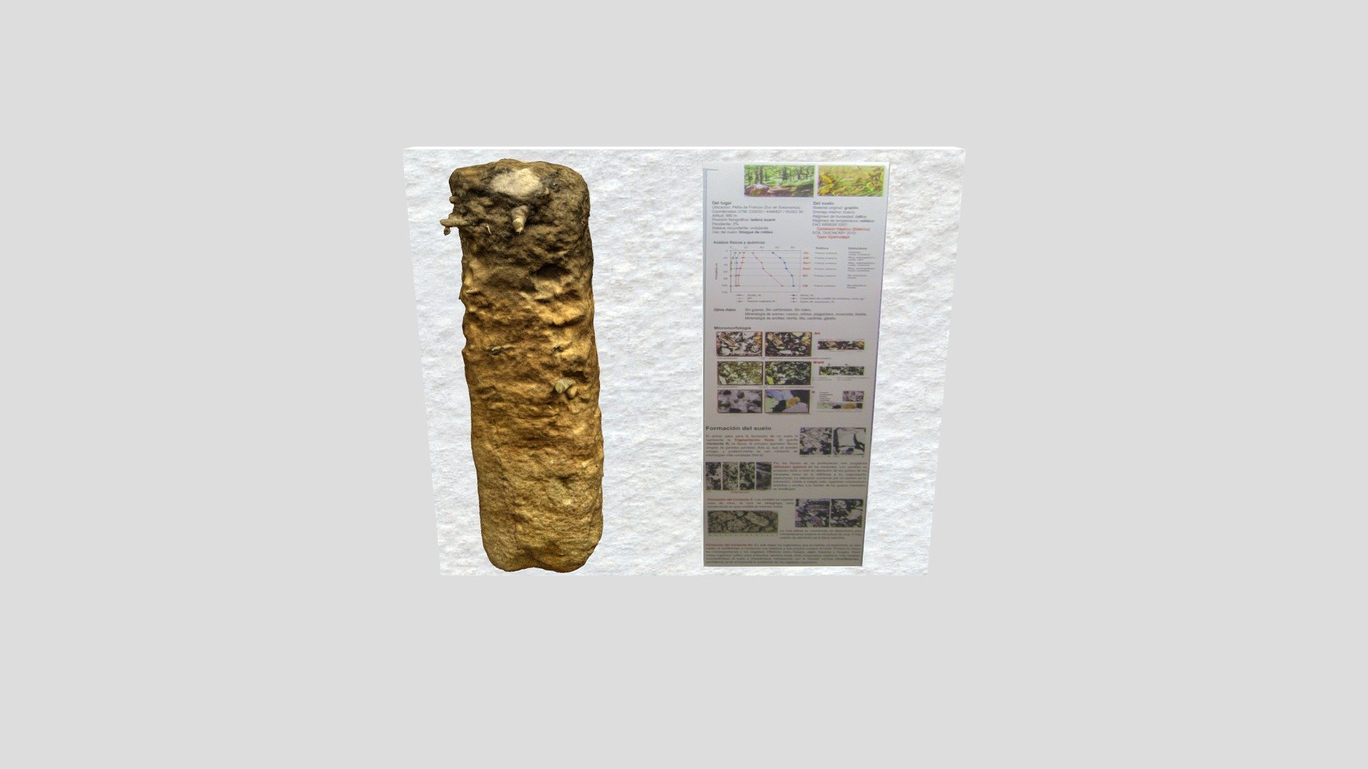 Monolito Edafologico Nº9