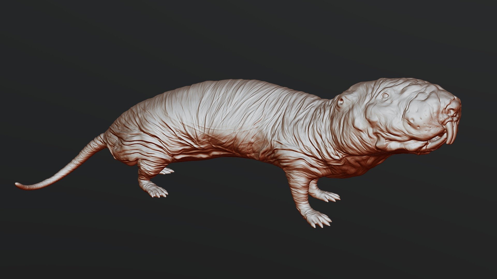 Naked Mole Rat - Buy Royalty Free 3D model by labradoritewolf  (@labradoritewolf) [3be28ff]