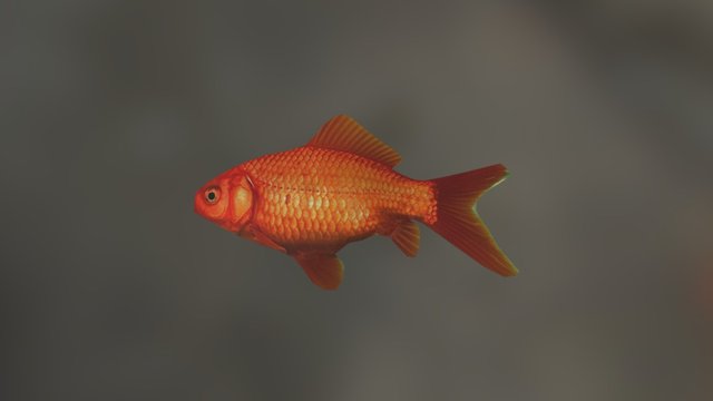Peixe 3D Model