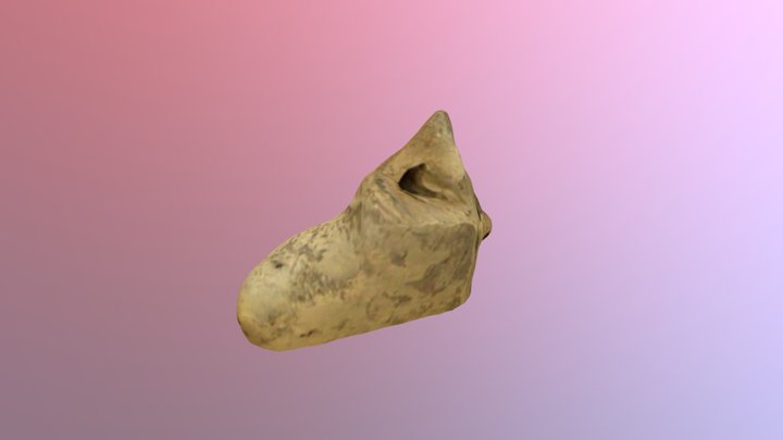 Omrit foot 3D Model