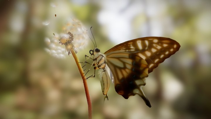 Butterfly at rest 3D Model