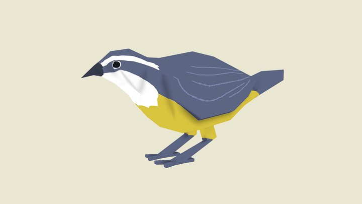 Bananaquit 3D Model