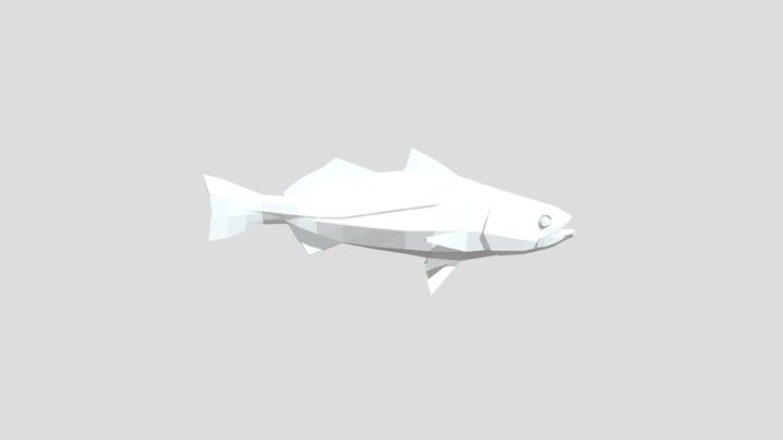 Cachema 3D Model