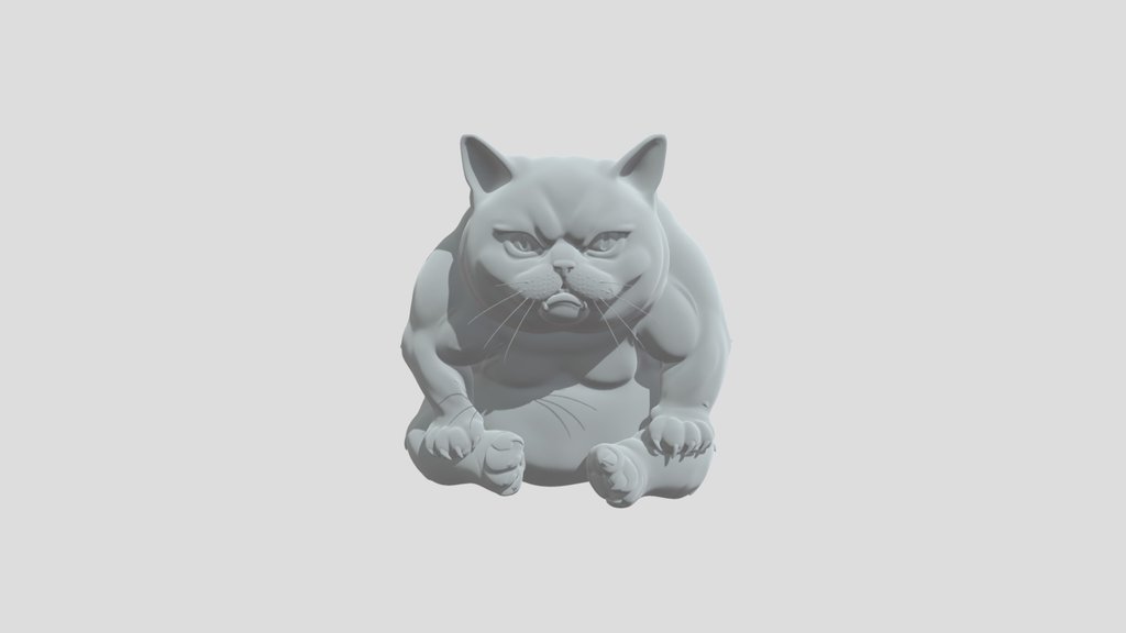 Grumpy Chonk