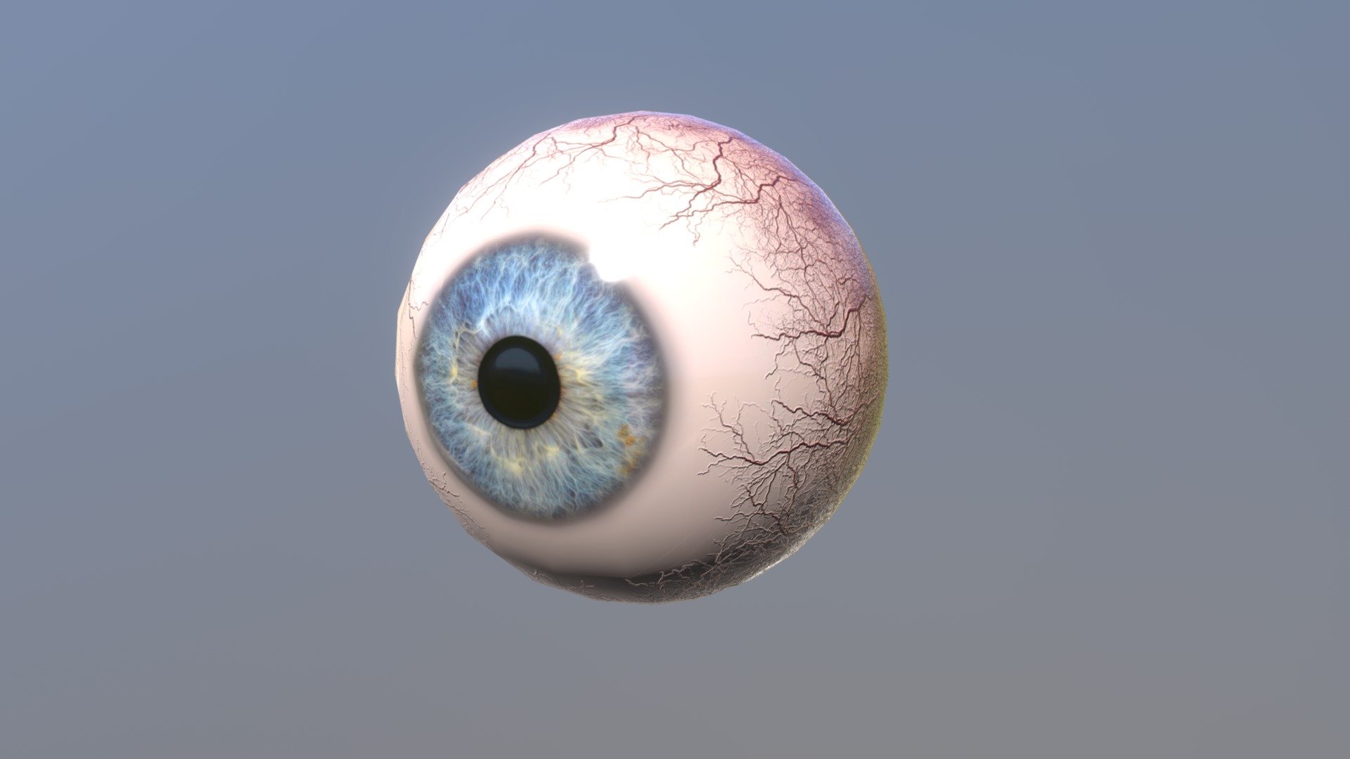 Eye - 3D model by snaki94 [3bf831b] - Sketchfab