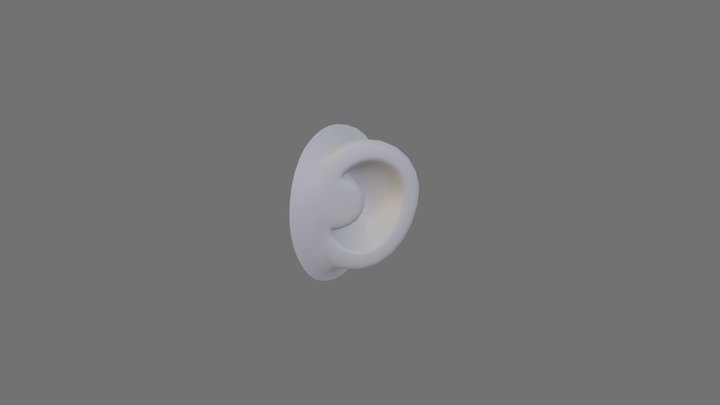 Ear 001 3D Model