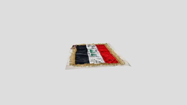 Foreign flag 3D Model