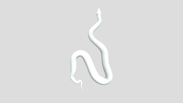 Python Snake 3D Model Ready to Print 3D Model