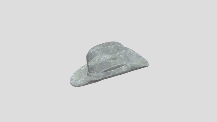 DR Hat 3D Model
