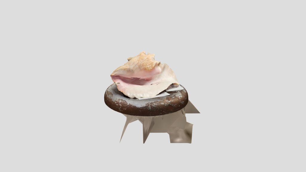 Douet_ANTH_4997_Conch