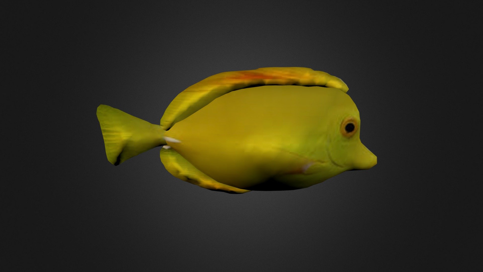 Yellow fish