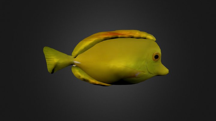 Yellow fish 3D Model