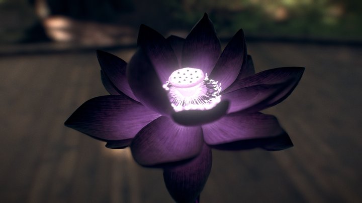 Black Lotus 3D Model