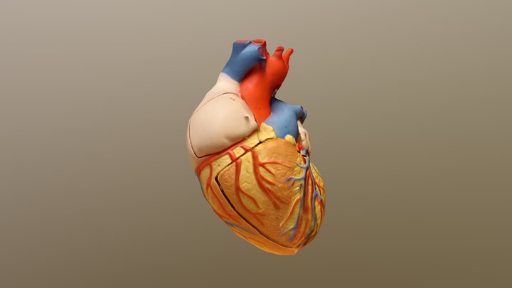 Heartfull 3D Model