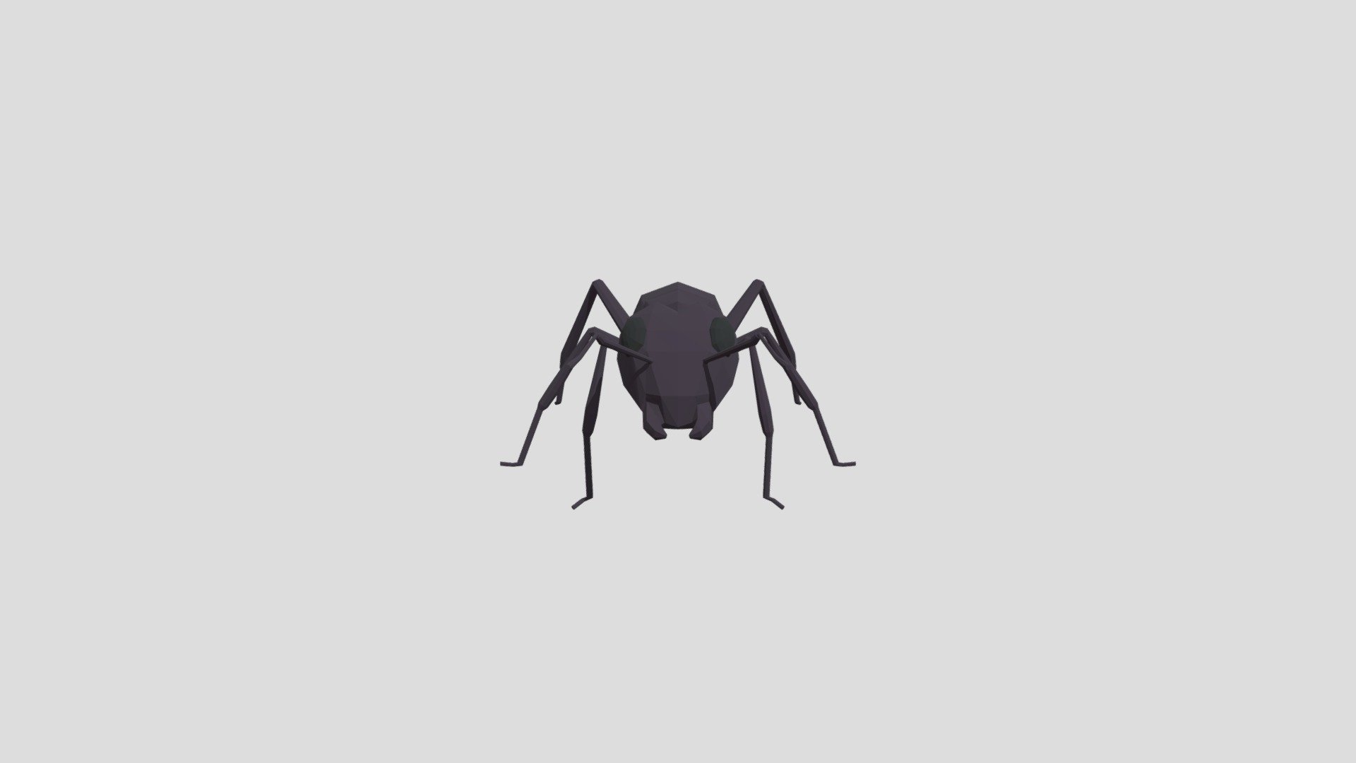 Ant from Poly by Google