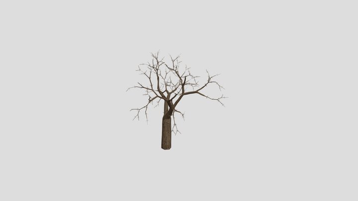 fig tree 3D Model