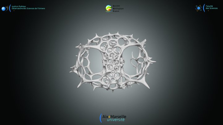Radiolaria - Tetrapyle octacantha 1 3D Model
