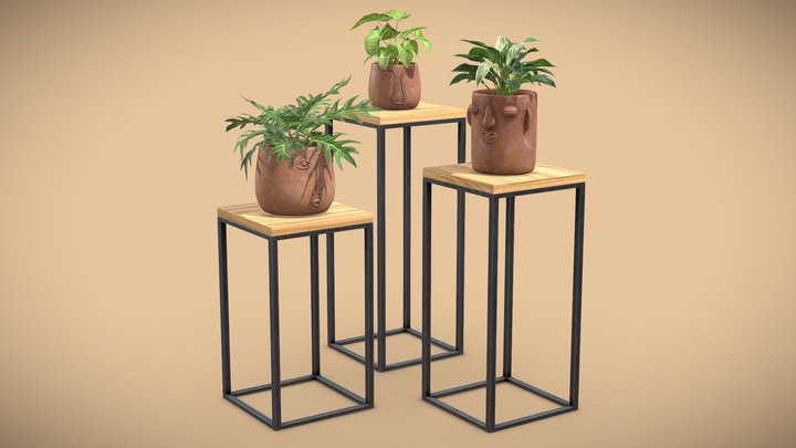 Facepot Terracota Plants Set 3D Model