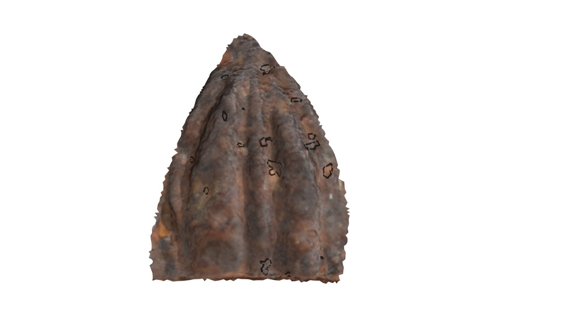 C15 - aurochs MNIR