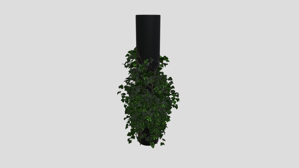 Simple Ivy Column Plant