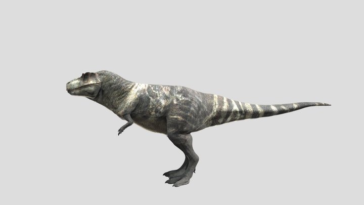 accurate T-rex rigged free 3D Model