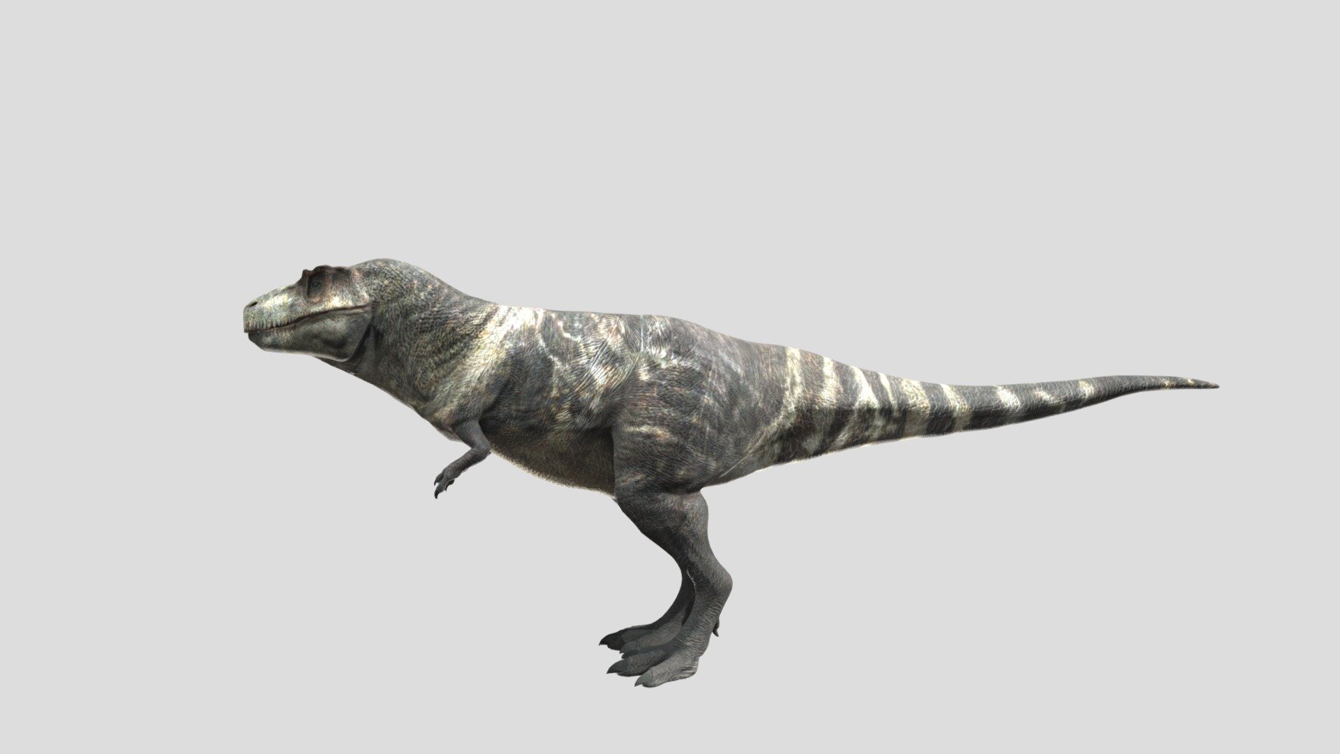 accurate T-rex rigged free - Download Free 3D model by Gojiram ...