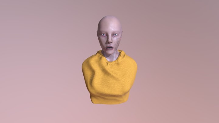 Lagertha_from_vikings 3D Model