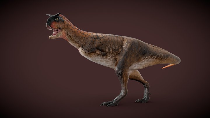 Carnotaurus 3D Model
