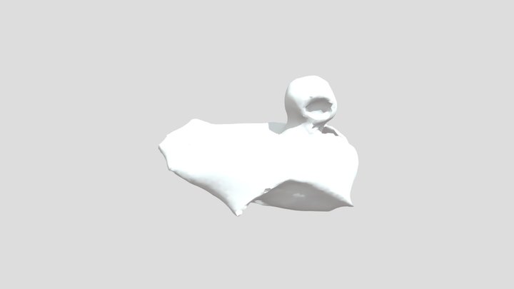bird scan Sculpted V2 3D Model
