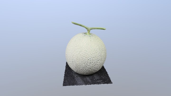 melon3 3D Model