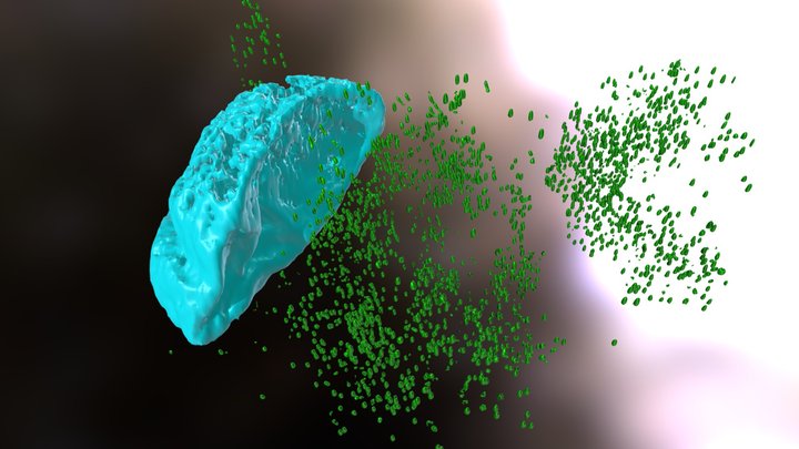 Chlamydia growing in host cells 3D Model