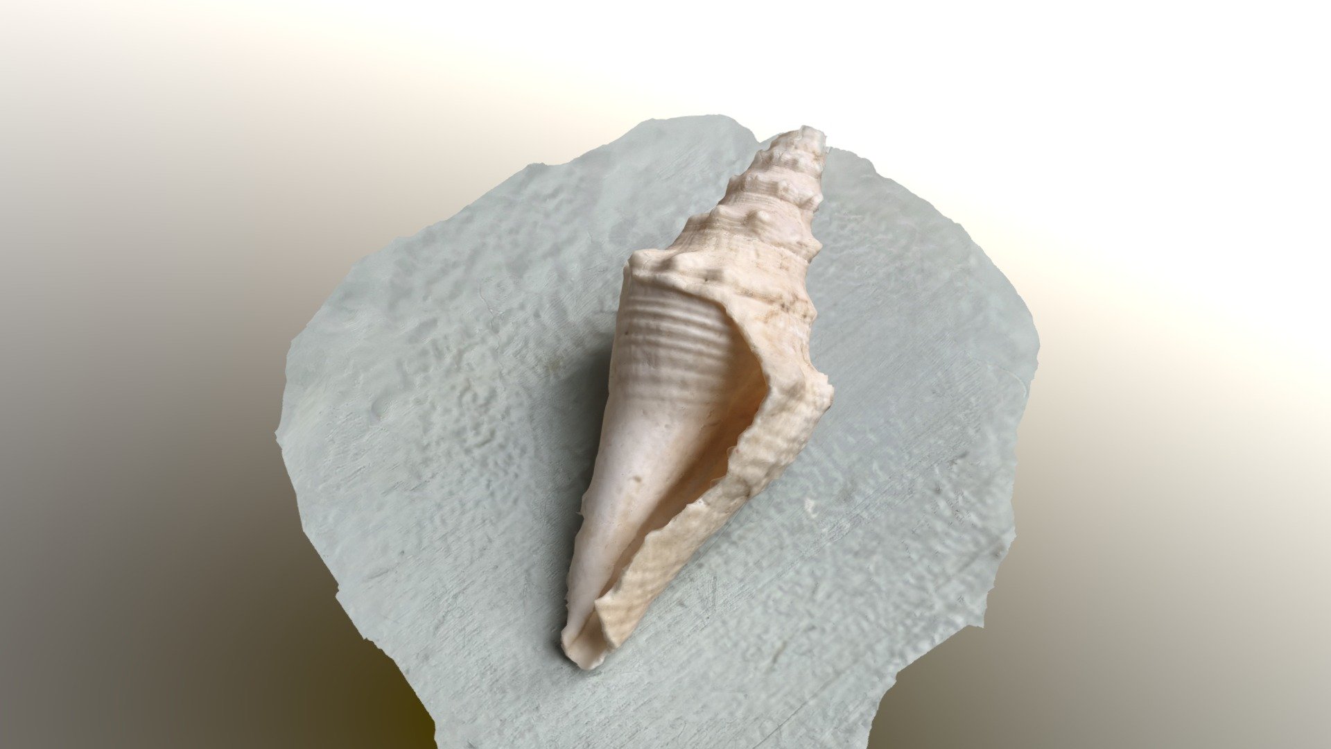 Caracol - Dolores Benvenuto - TAZ