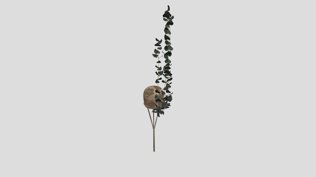 Hanging Trailing Vine Planter