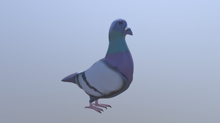 Toy Dove 3D Model